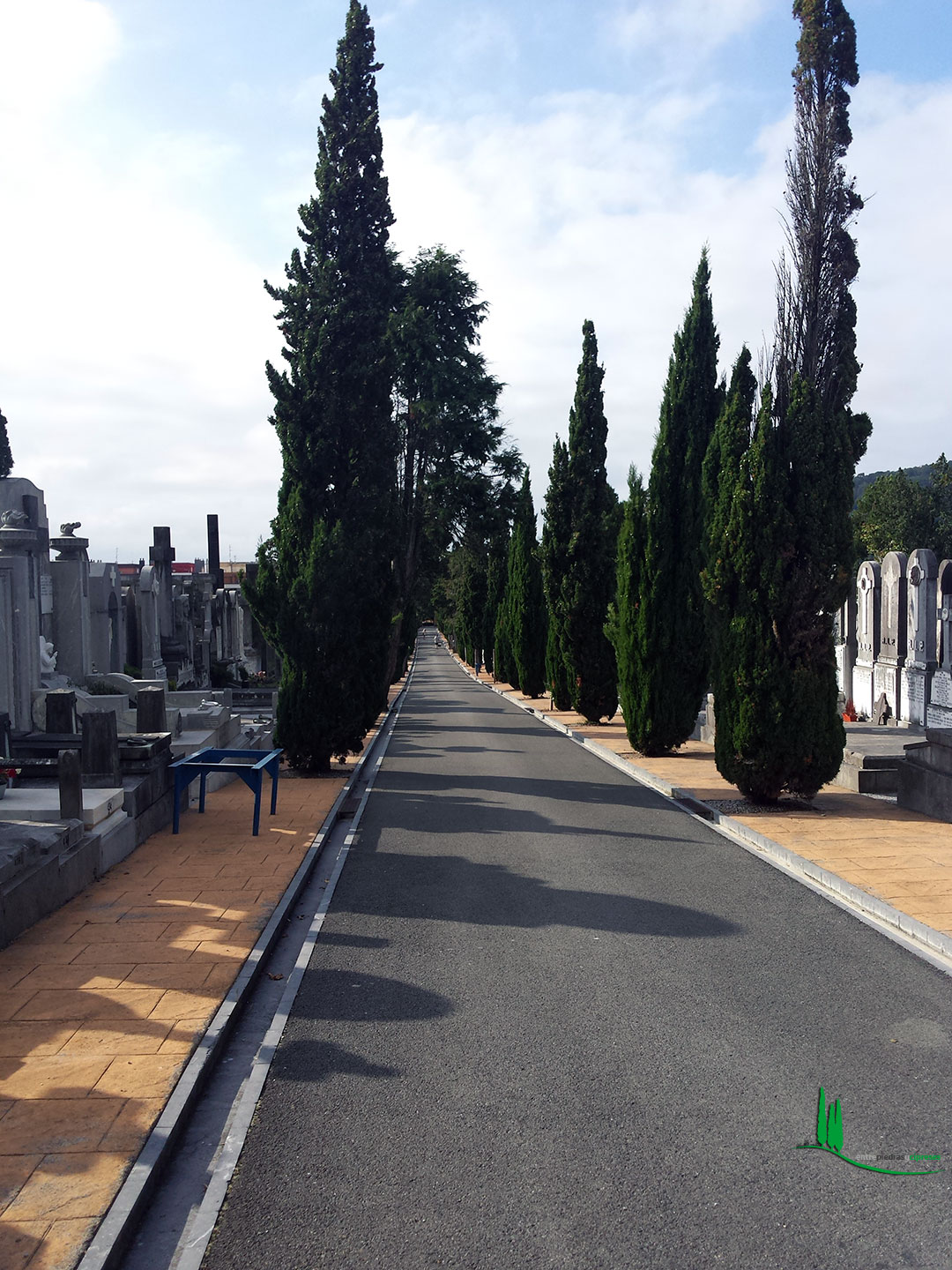 Cementerio de Polloe Entre piedras y cipreses