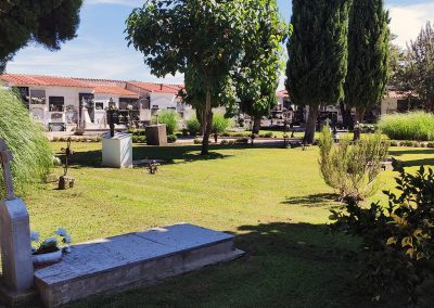 Cementerio de Moraleja