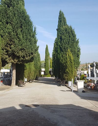 Cementerio municipal de Boadilla del Monte
